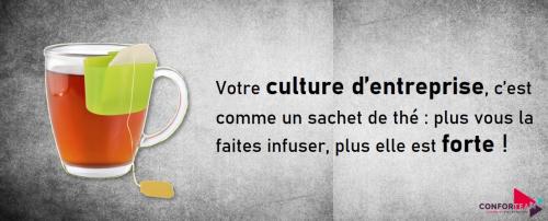 La Culture d’Entreprise, un réel enjeu en matière de Qualité de Vie au Travail